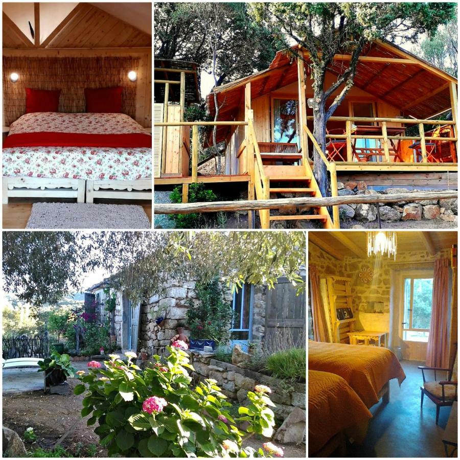 Stazzu La Capretta Farm Camping & Guest Rooms Olbia Exterior photo