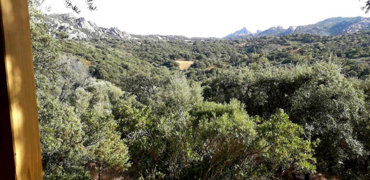 Stazzu La Capretta Farm Camping & Guest Rooms Olbia Exterior photo